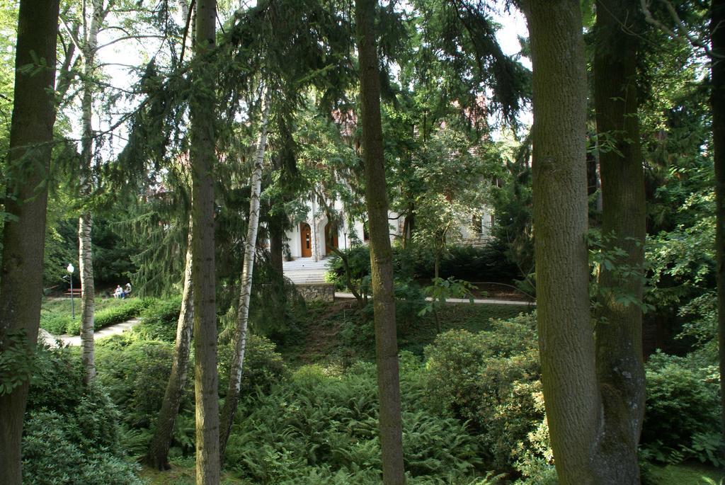 Apartament Milena Bad Altheide Exterior foto
